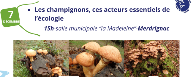 Les Rendez-vous Nature de l'Oust