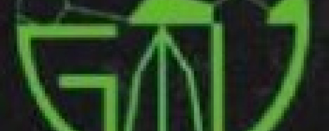 Tournoi féminin - GMV