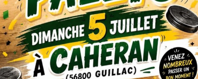 Concours de palets ﻿🥏