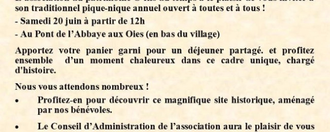 🍽️ PIQUE NIQUE 🥪