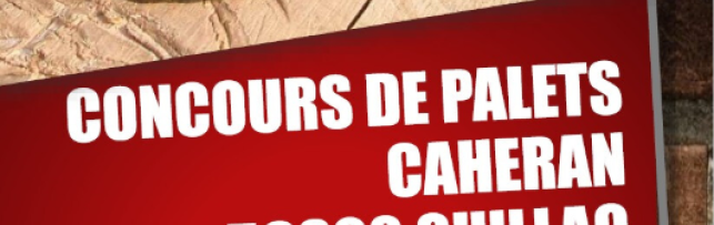 Concours de palets 