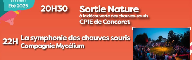 Animations les jeudis soirs