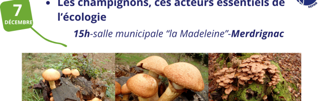 Les Rendez-vous Nature de l'Oust