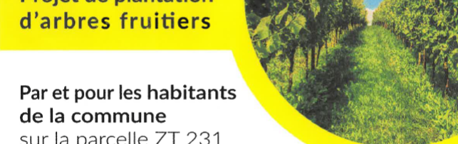 Plantation d'arbres fruitiers