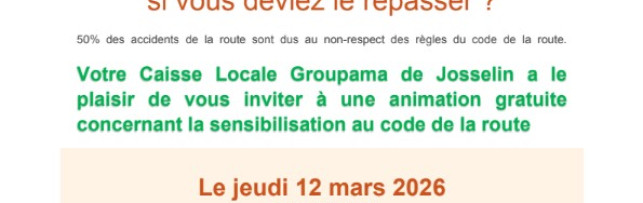 Révision au code de la route ﻿🛤️
