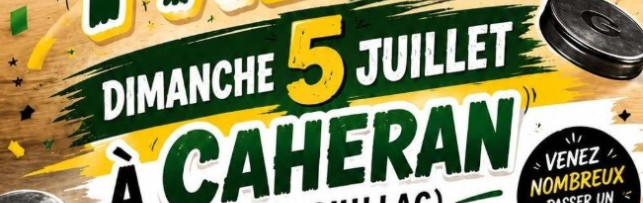 Concours de palets ﻿🥏
